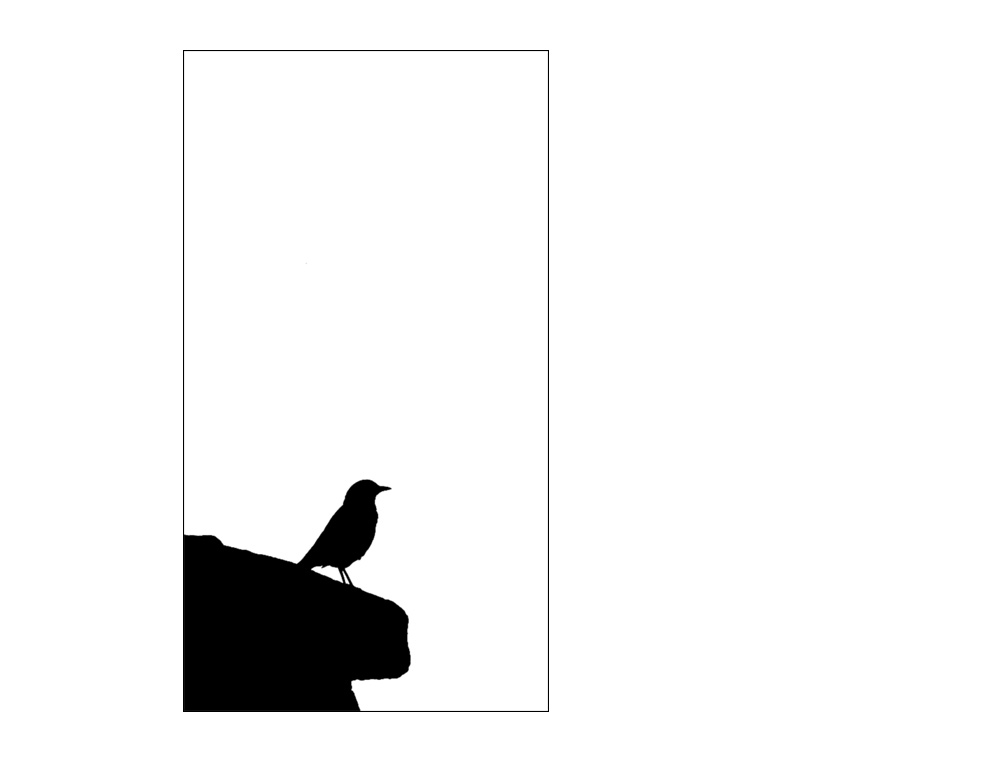Bird Four: The Corner