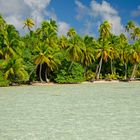 BIRD ISL: RANGIROA  OCEANIA TAHITI