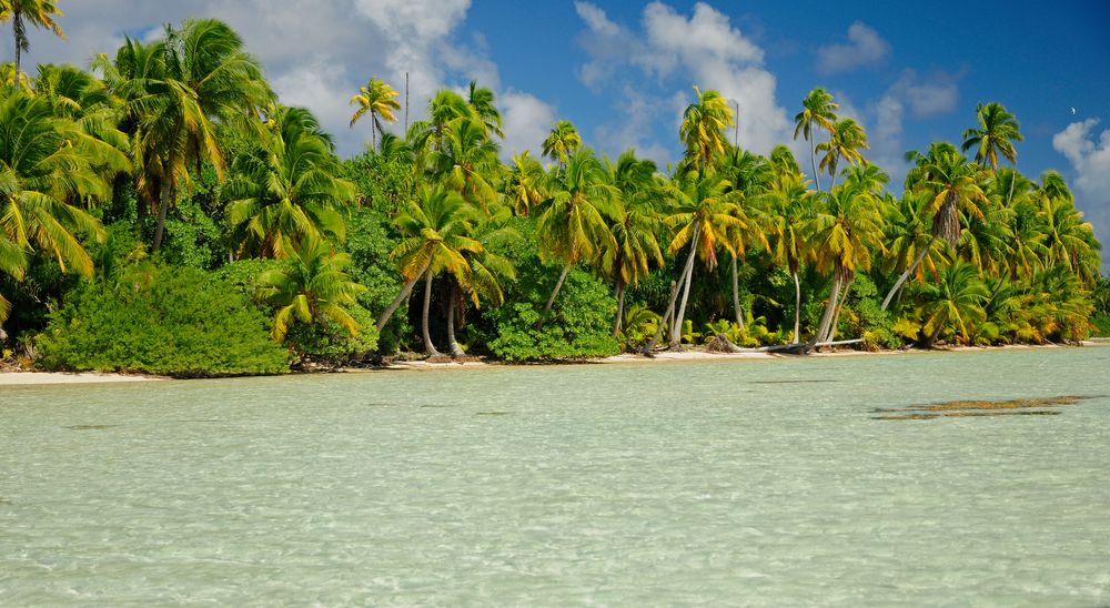 BIRD ISL: RANGIROA  OCEANIA TAHITI