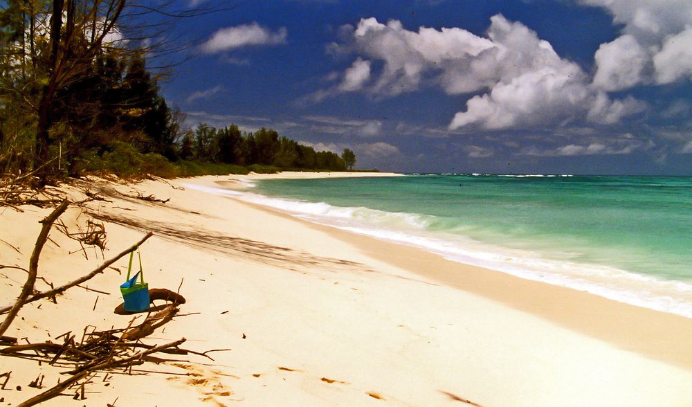 BIRD ISL: SEYCHELLES