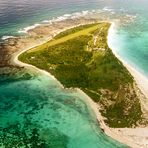 Bird ISLAND SEYCHELLES