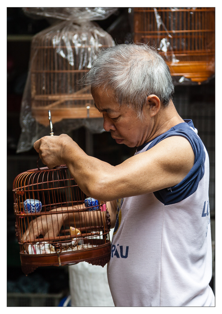 Bird Market in Hong Kong / Mongkok