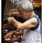 Bird Market in Hong Kong / Mongkok