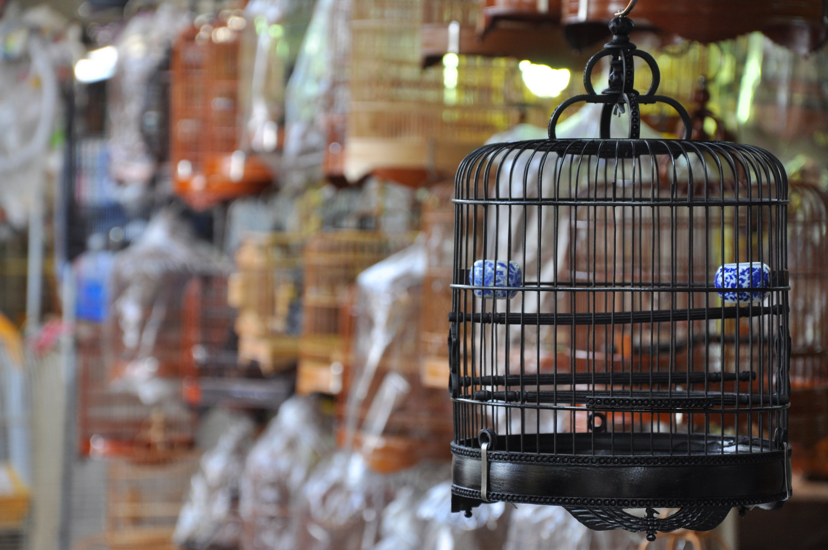 Bird Market/Hongkong