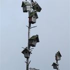 Bird Motel