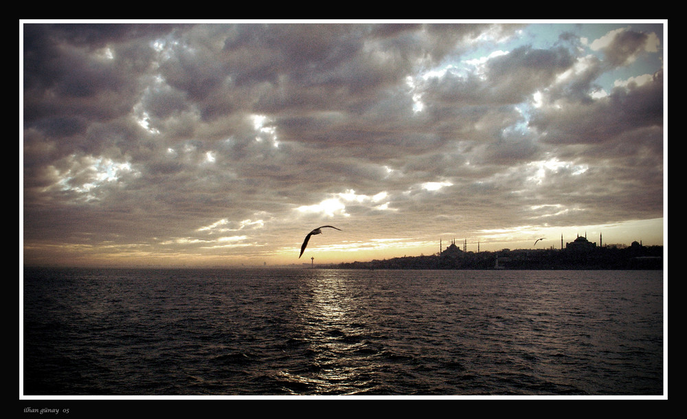 bird, sea & the city 3