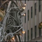 Bird sittin on christmasdecoration of a famous place!!! wär errät die Lokalität???