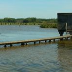 Bird spotting hut