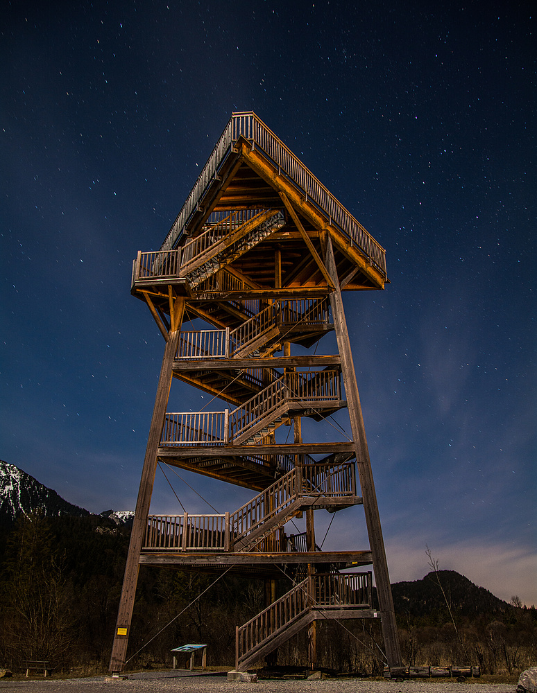 Bird tower in the moonlight I