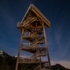 Bird tower in the moonlight I