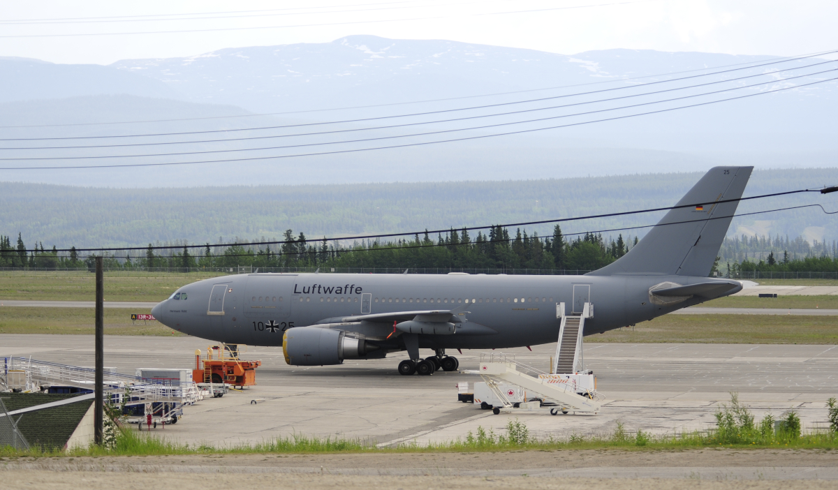 bird watching in whitehorse 