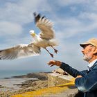 Bird Whisperer in Saint Malo