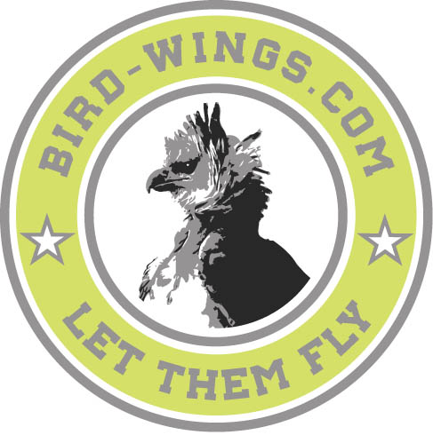 Bird-Wings.com #LetThemFly