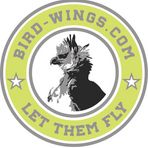 Bird-Wings.com #LetThemFly