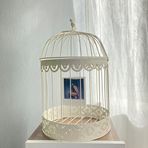 Birdcage