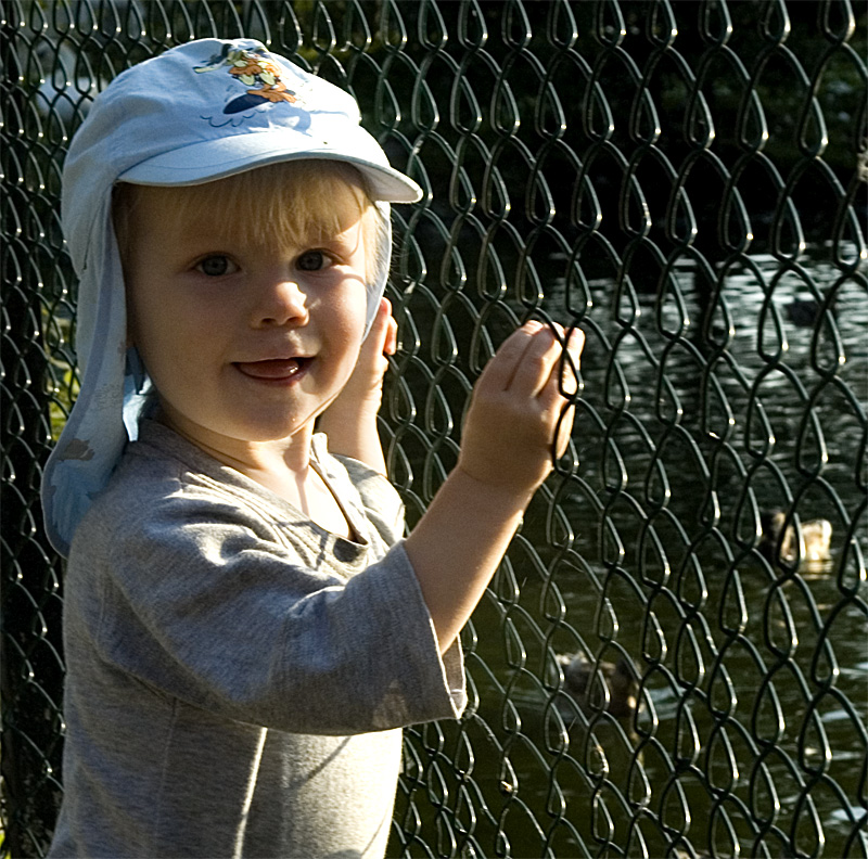 Birdfeeding