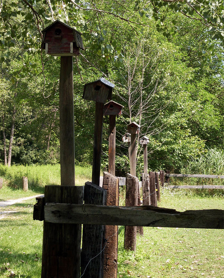 Birdhouse Row