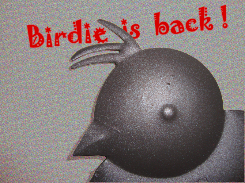 birdie is back !