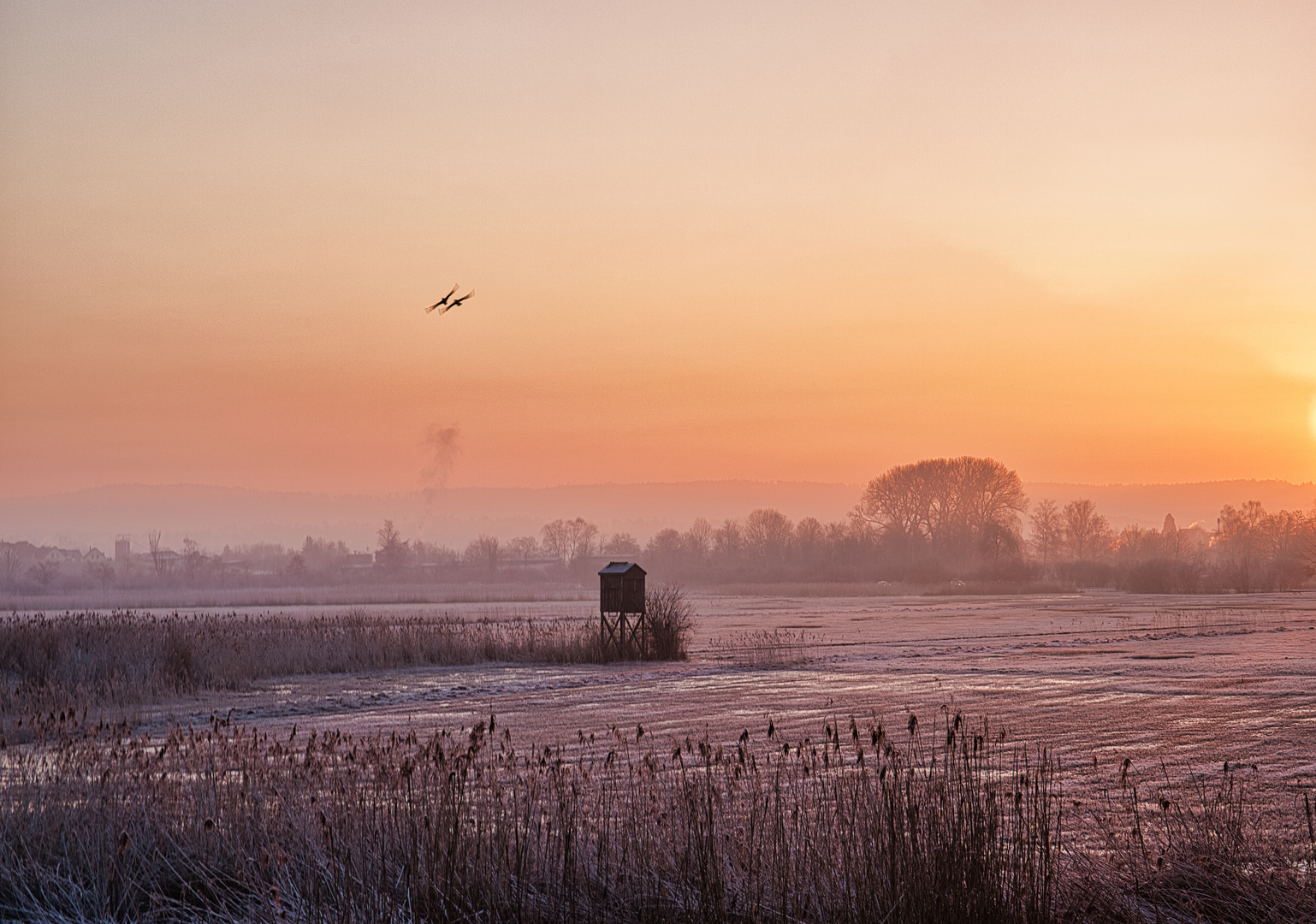 BirdLife-Naturzentrum Neeracherried