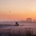 BirdLife-Naturzentrum Neeracherried