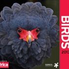 Birds 2013 - Africa Geographic