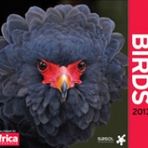 Birds 2013 - Africa Geographic