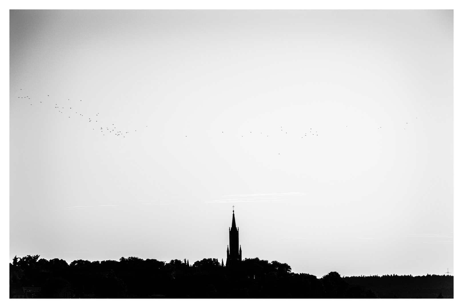 birds and church