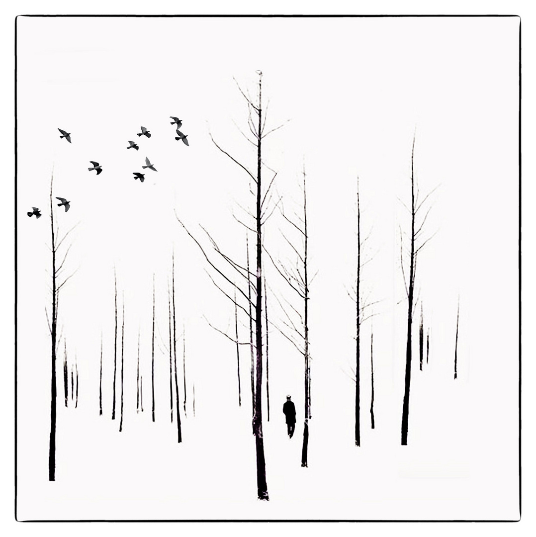 Birds and Trees......and a  Man