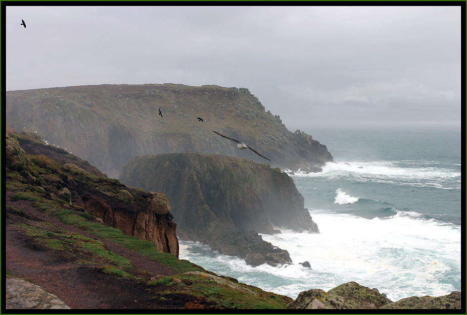 Birds @ Coastline