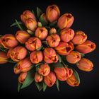 Bird's eye view on tulips