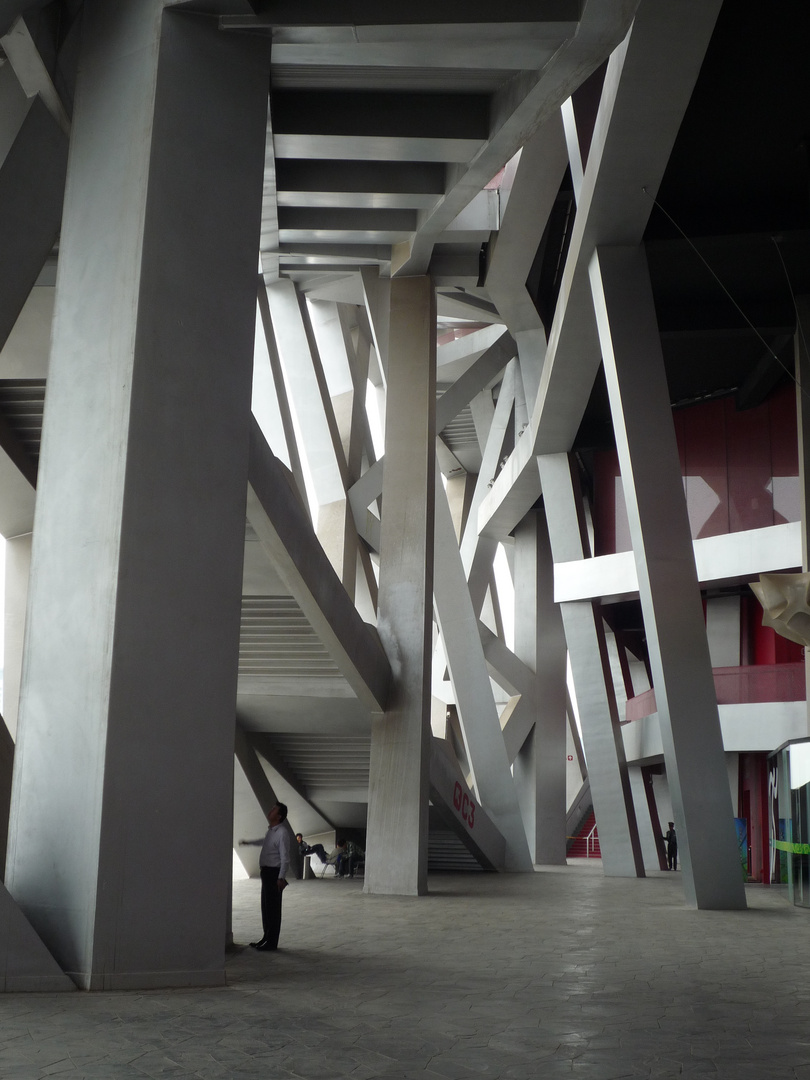 "bird's nest beijing" Nationalstadion - Peking