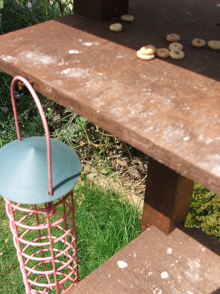 BirdTable