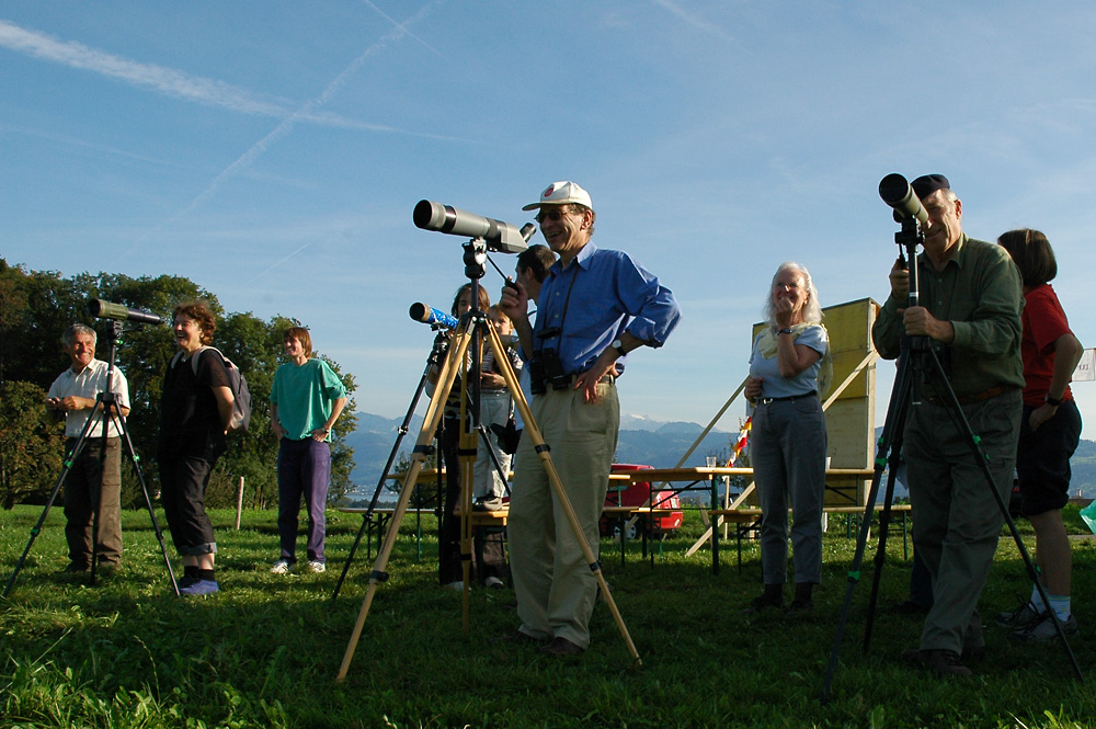 Birdwatch am Lützelsee