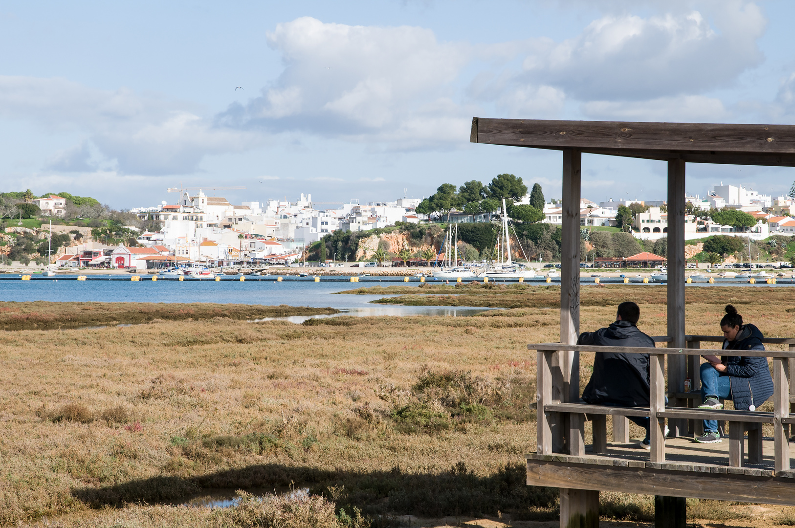 Birdwatching bei Alvor DSC_8236