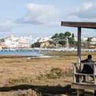 Birdwatching bei Alvor DSC_8236