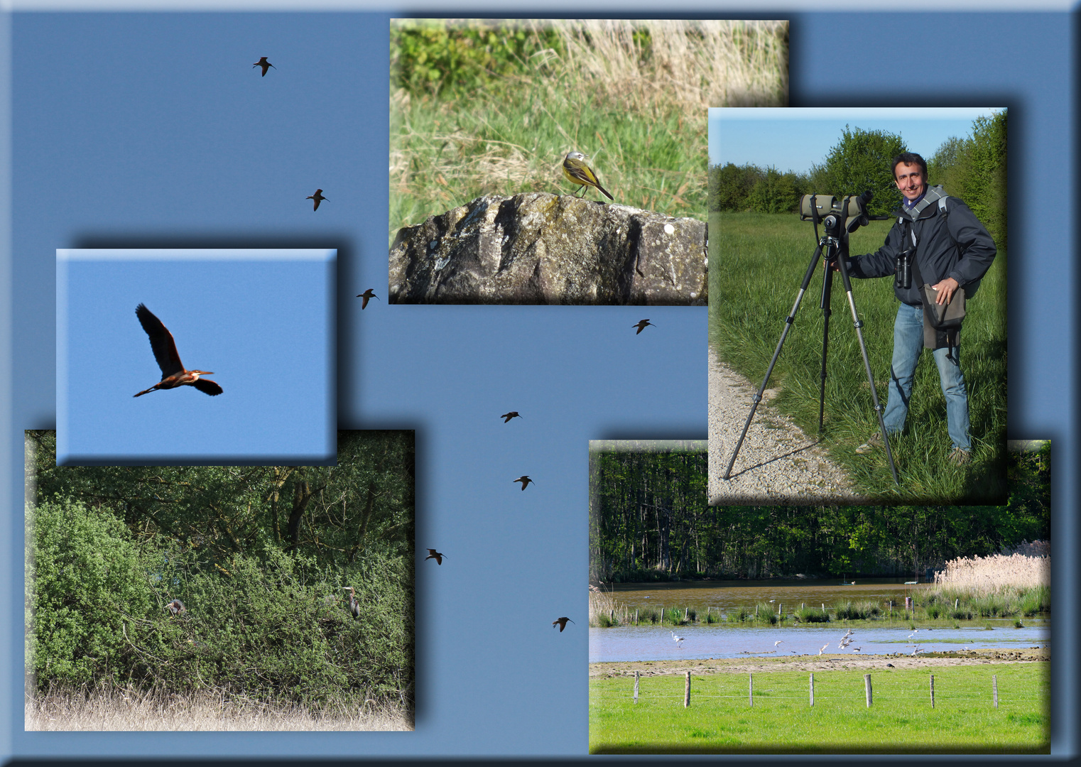 Birdwatching mit Antoine