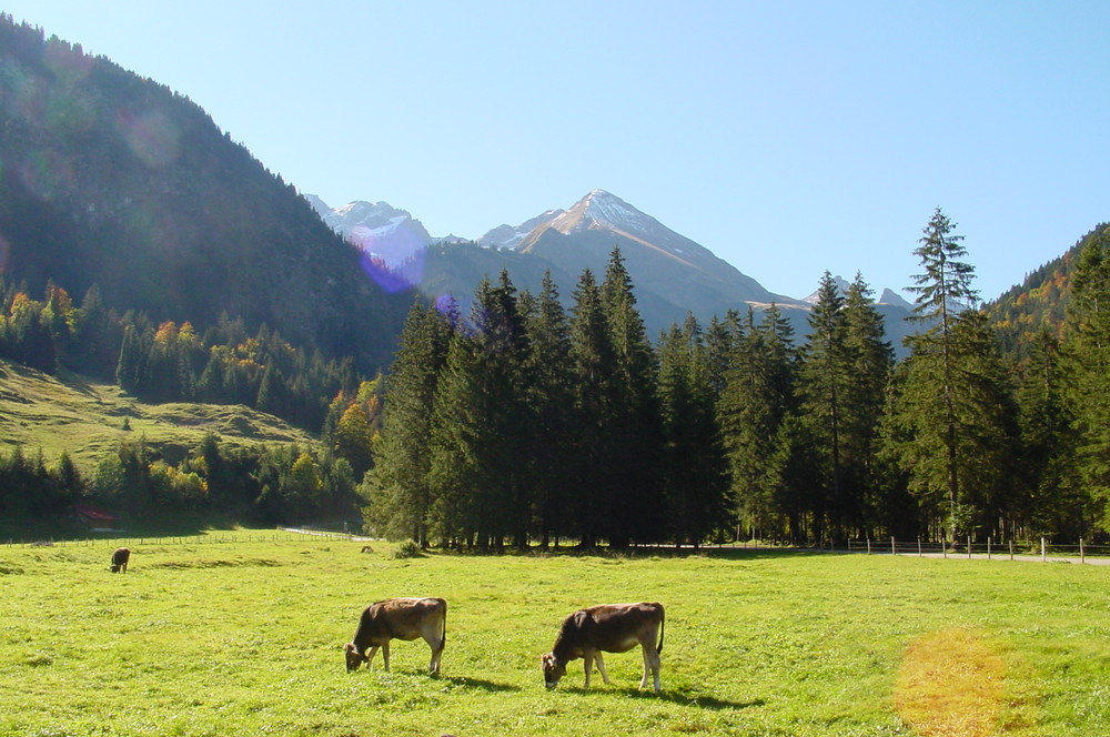 Birgsau/Allgäu