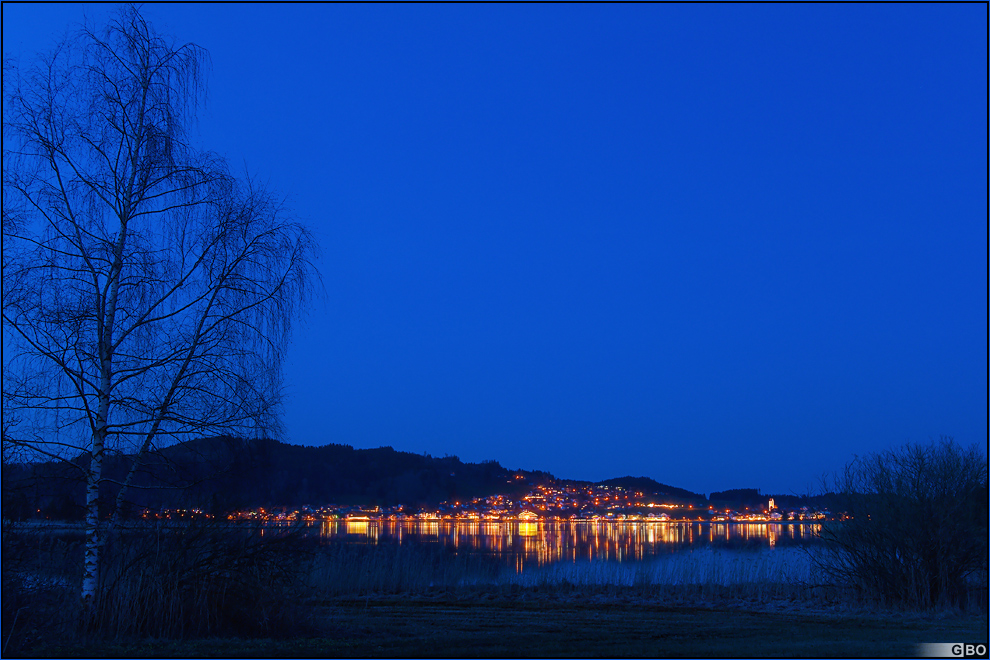 Birke am See