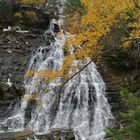 Birke vor Wasserfall