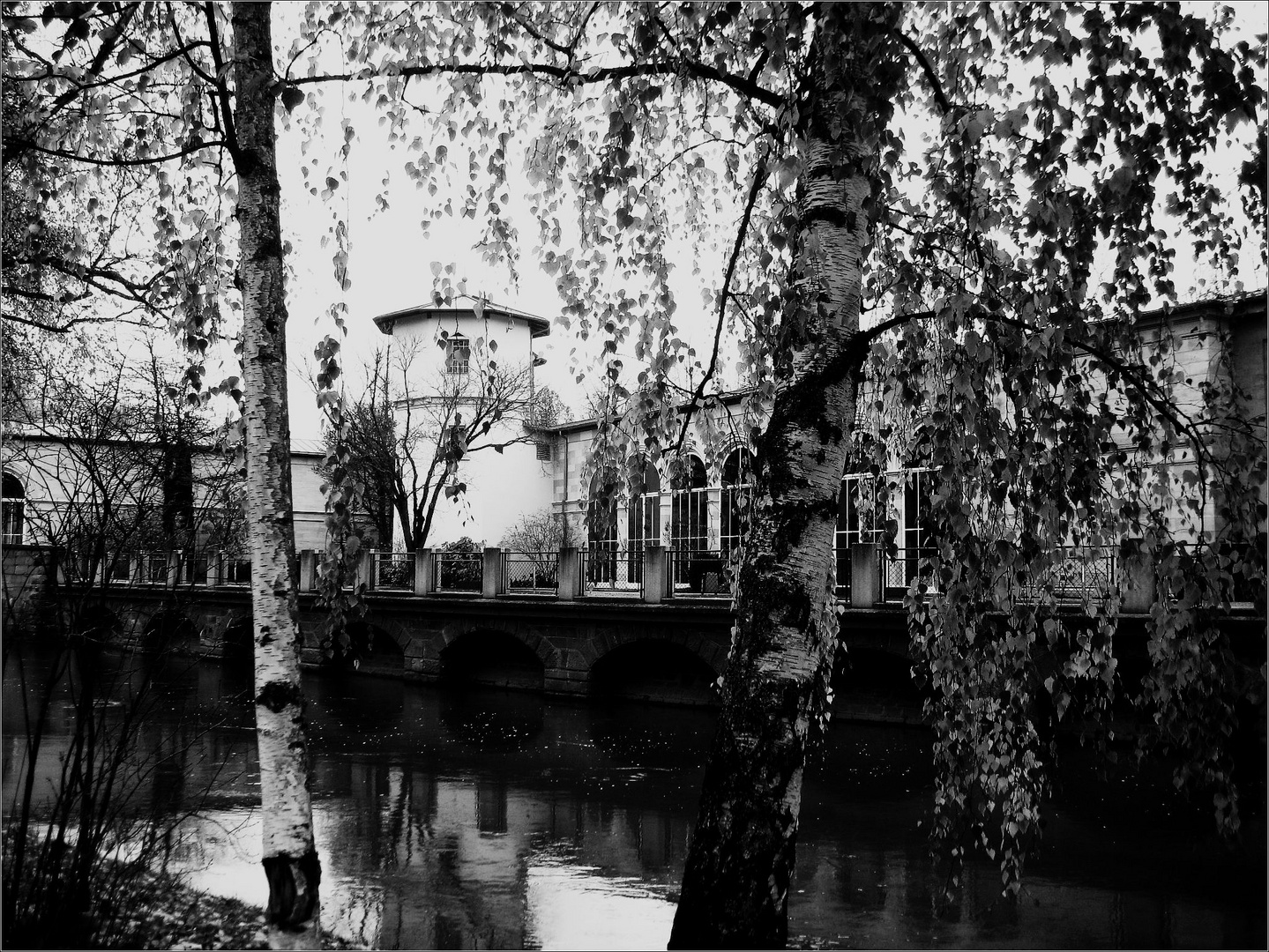 Birkeln in Bad Kissingen, Saaleblick