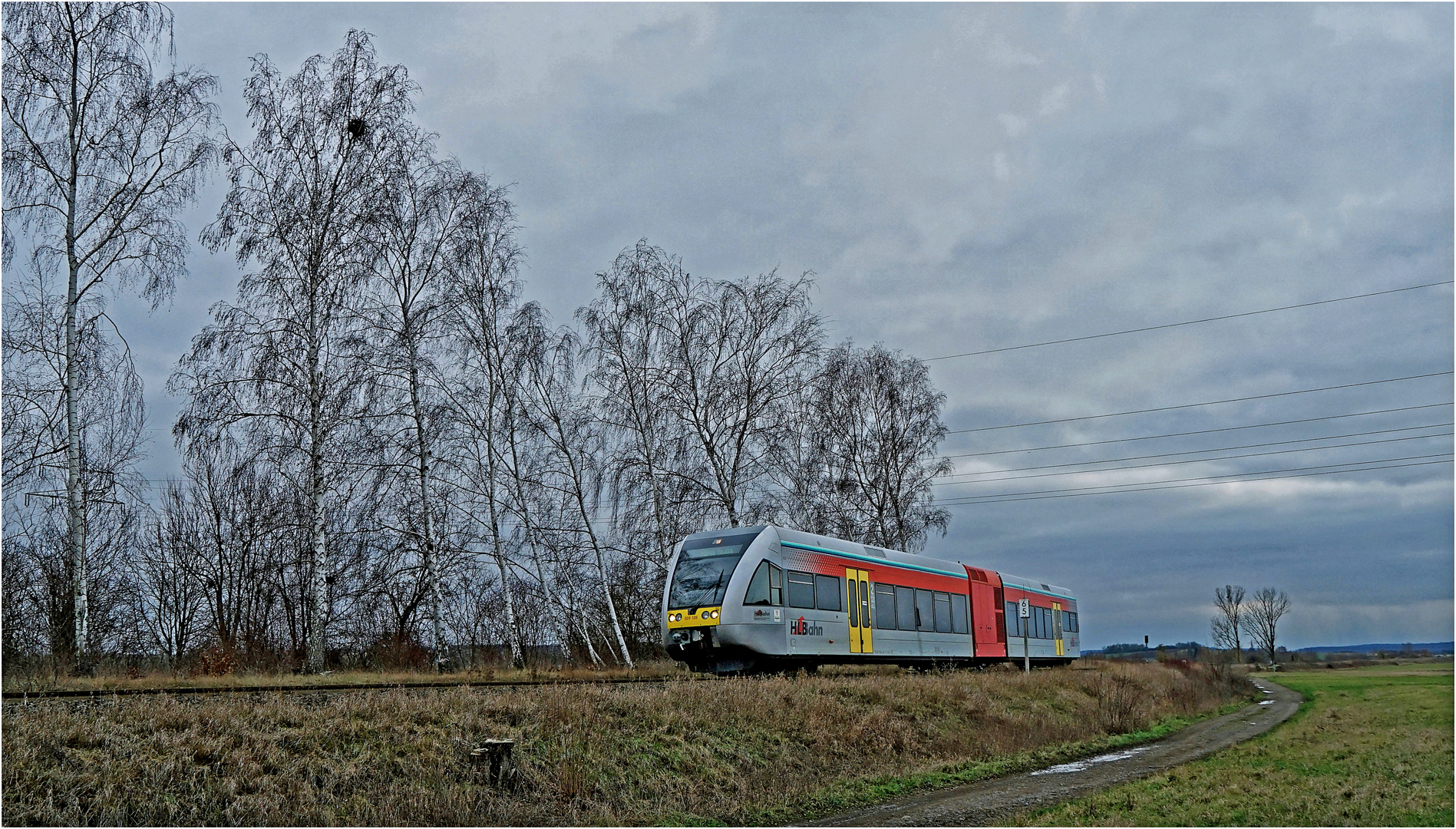 Birken am Bahndamm