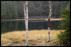 Birken am See