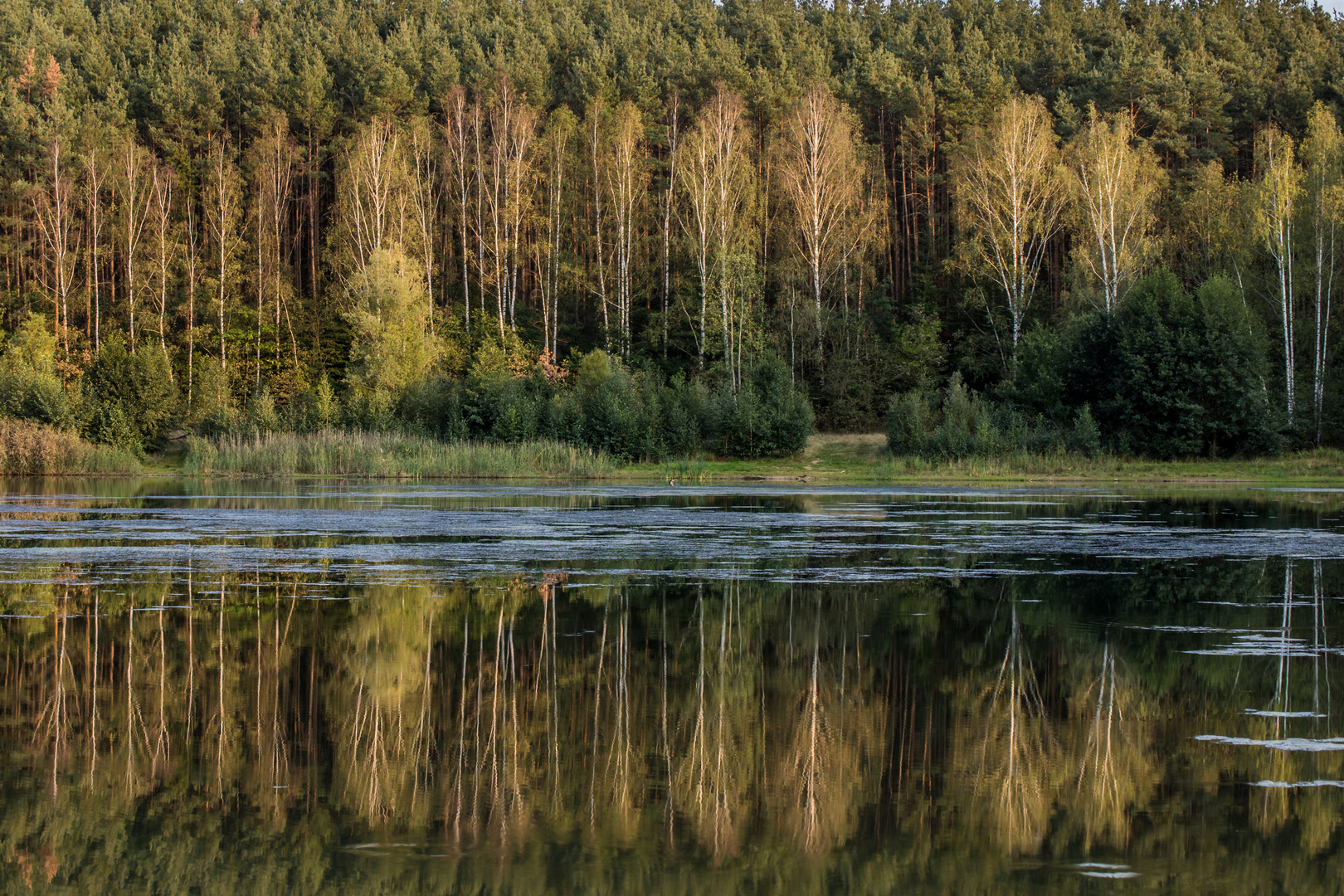 Birken am See, SN