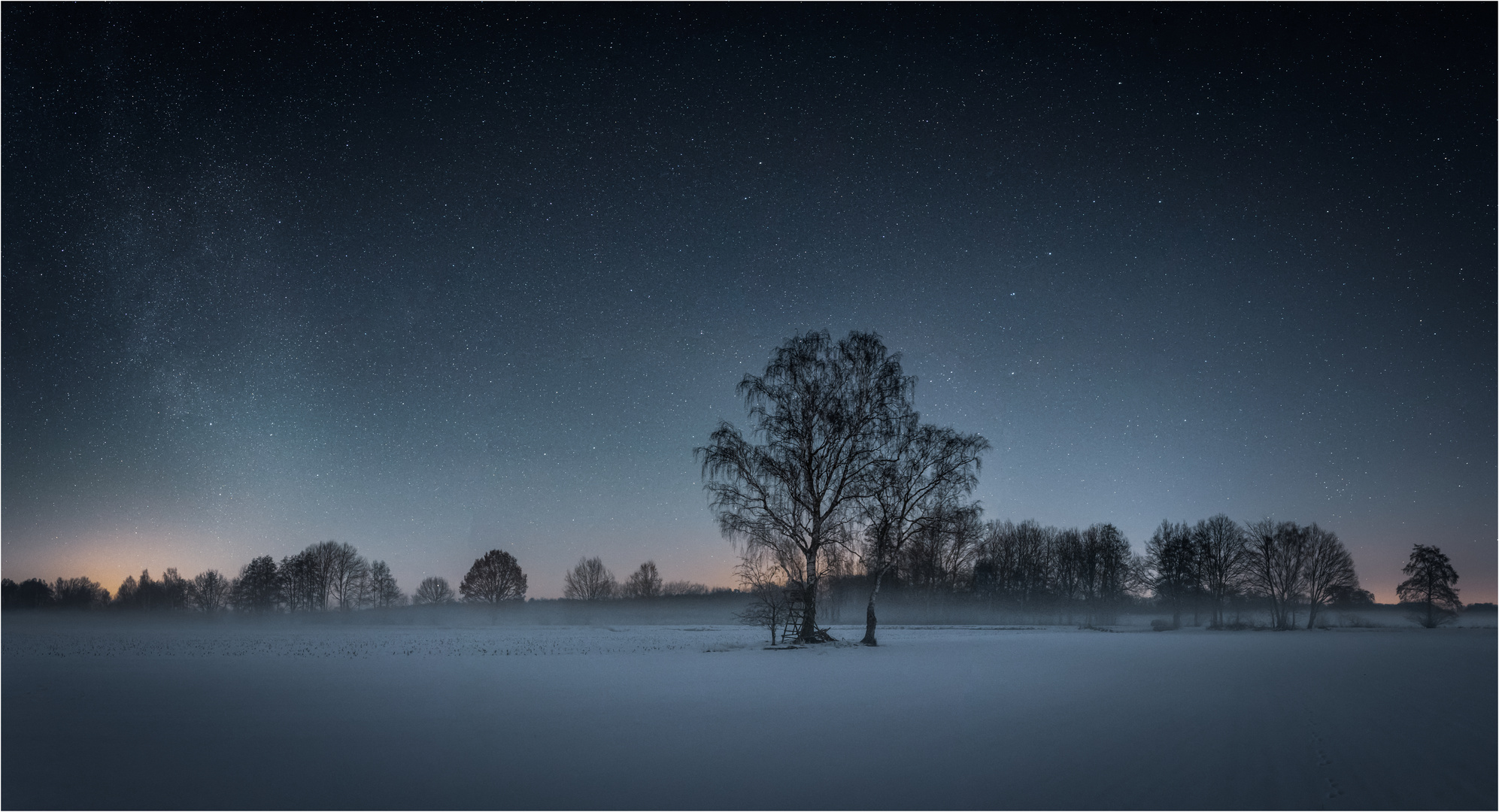 * Birken im Schnee *