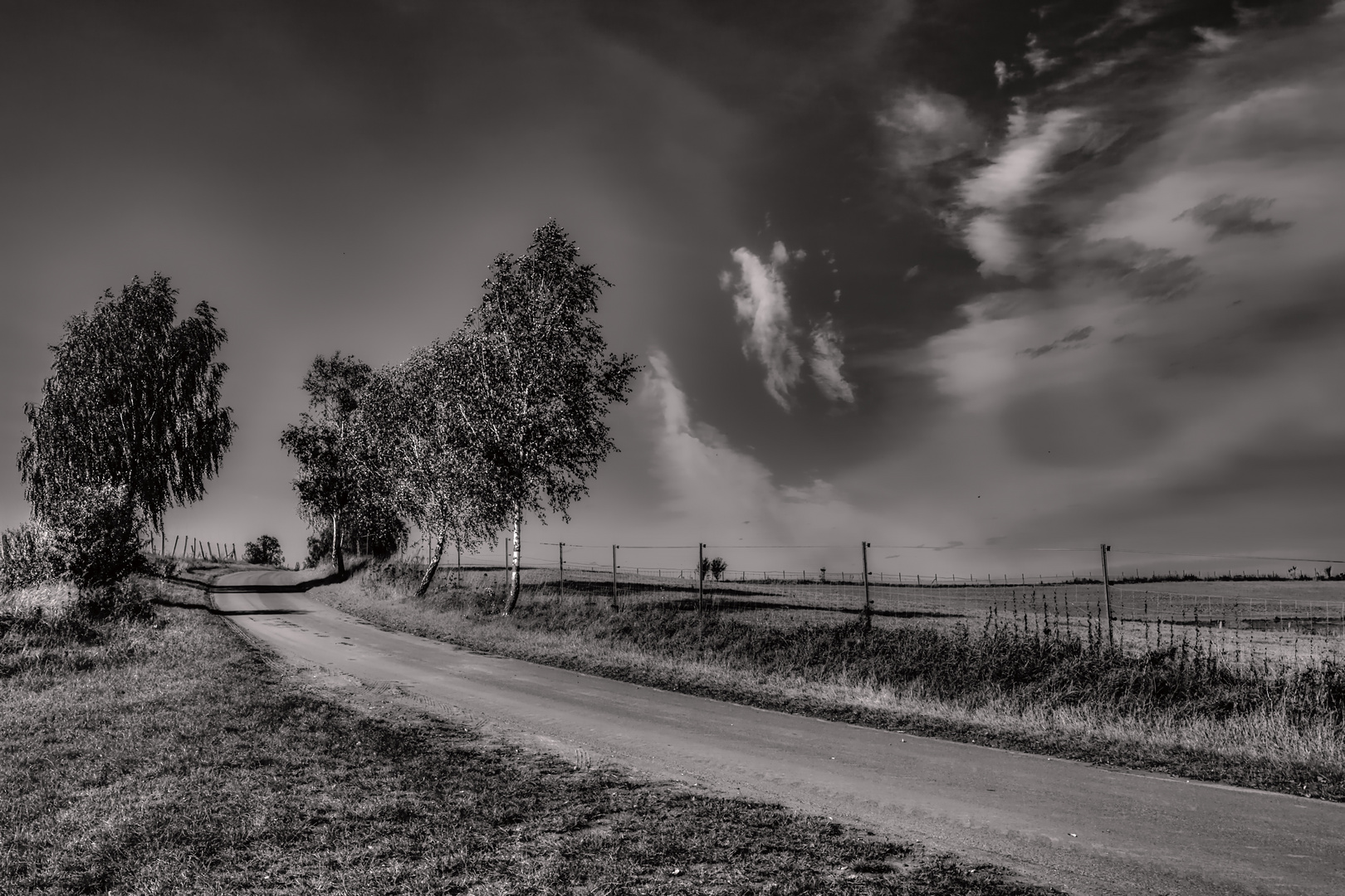 Birken & Wolken