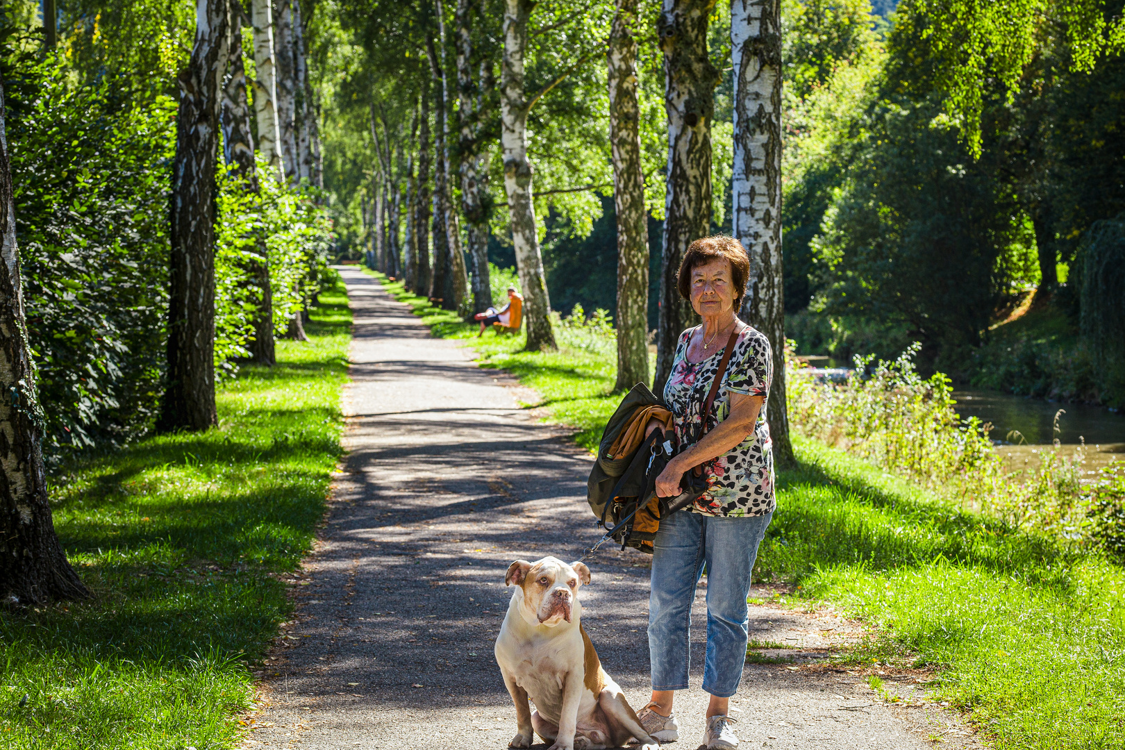 Birkenallee in Bad Liebenzell