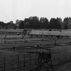 Birkenau