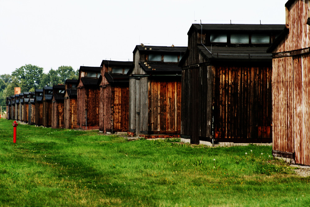 Birkenau