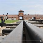 Birkenau