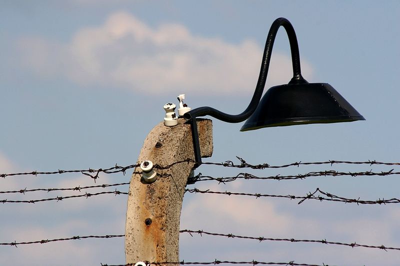 Birkenau 2